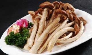 茶树菇相克的食物（茶树菇相宜相克）