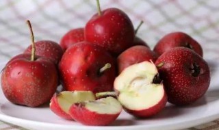 山楂相克的食物（山楂相克的食物表）