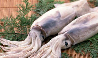 鱿鱼相克的食物 鱿鱼相克食物香哈