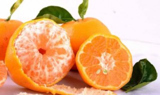柑子的功效与作用 柑子和橙子和桔子的区别