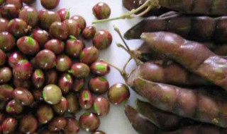 木豆的功效和作用 木豆的功效和作用及禁忌