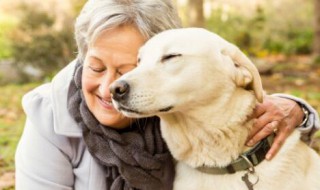 狗为什么对人类忠诚 狗狗走丢了会想主人吗