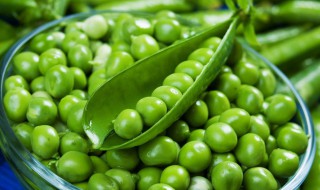 豌豆相克的食物（豌豆相克的食物中毒）