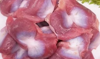 鸡胗子是什么（鸡胗子是什么样子的）