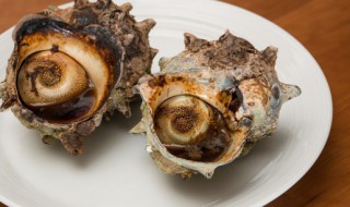 香螺的营养价值（香螺的营养价值及功效）