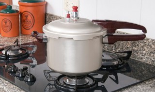 高压锅炖牛肉多长时间能炖烂熟（高压锅炖牛肉一般多长时间熟）