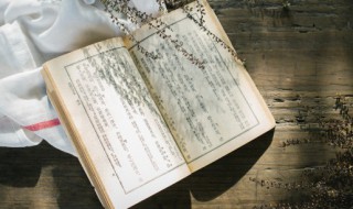 少年闰土中的我是不是鲁迅 少年闰土是一篇小说,所以文中的我不是作者本人