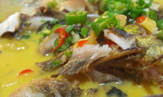 黄骨鱼相克的食物（黄骨鱼与什么搭配最营养）