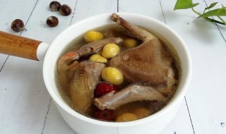 鸽子炖汤放哪些配料 鸽子炖汤放哪些配料好喝