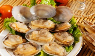 西施舌的营养价值 西施舌的功效与作用