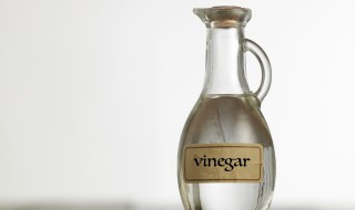 醋相克的食物 醋相克的食物香哈网