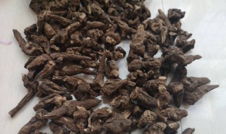 川乌头和草乌头的区别是什么（川乌草乌和乌头的区别）