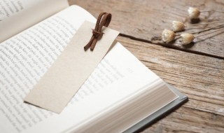 饕餮盛宴怎么读 什么盛宴 四字成语饕餮盛宴怎么读