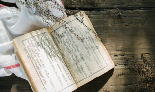 圣迭戈怎么读（圣迭戈什么意思）