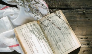 训怎么读 湛怎么读