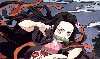 祢豆子怎么读（祢豆子怎么读英语）