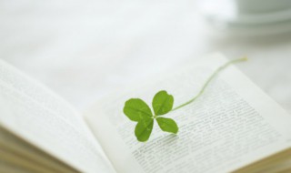 惙怎么读（惙怎么读什么意思）