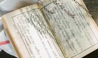 波钦这两字的含义 波钦这两字的含义是什么