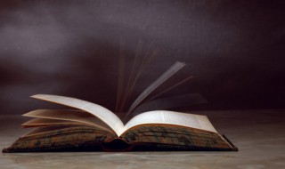 门是前鼻音还是后鼻音 晶是前鼻音还是后鼻音