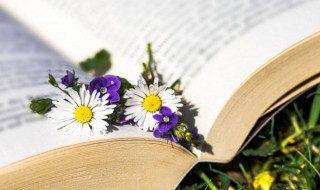 洋气男孩名字 刘氏名字洋气男孩名字