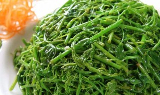 龙须菜相克的食物（龙须菜相克的食物是什么）