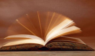 猫头鹰是什么意思 密涅瓦的猫头鹰是什么意思