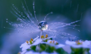 二十四节气谚语顺口溜（二十四节气表顺口溜农民谚语）