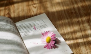 添砖加瓦的意思（添砖加瓦的意思是）