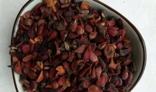 木瓜籽的功效与作用及食用方法 木瓜籽的功效与作用及食用方法图片