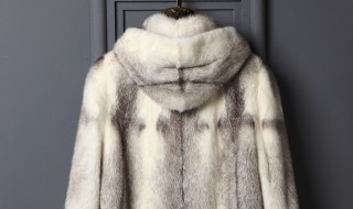 貂怎么洗 干洗店洗一次貂多少钱