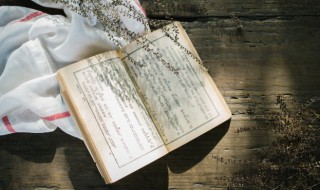 兔子不吃窝边草下一句 兔子不吃窝边草下一句话是什么