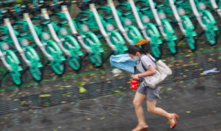 台风风力最大的部位是哪（台风风力最大的部位是哪个地方为什么）