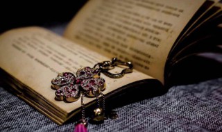 天盛王朝是哪个朝代的年号 天盛王朝剧情简介