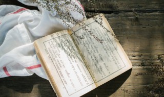 诗圣是 诗圣是什么意思