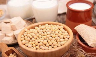 补充蛋白质吃什么食物 补充胶原蛋白吃什么最好