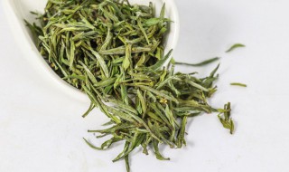茶叶冷冻好还是冷藏好 绿茶冷冻还是冷藏保鲜好