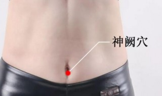 神阙是肚脐眼吗 艾灸贴肚脐真的能减肥吗