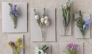 家里放干花影响风水吗（家里放干花影响风水吗视频）