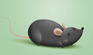 梦到老鼠什么征兆 梦到老鼠什么征兆 女性