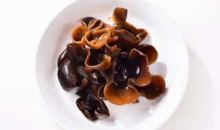 黑木耳凉拌怎么做 凉拌木耳的做法 最正宗的做法