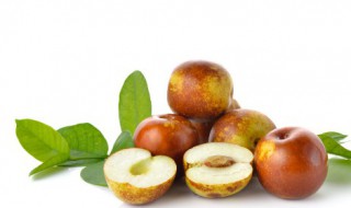 野山枣子怎么吃（野山枣的做法）