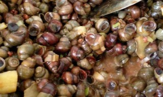 田螺怎么快速出泥怎么炒好吃 田螺怎么弄才干净