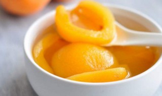 冰糖枇杷怎么吃（冰糖枇杷怎么吃最好）