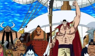 顶上之战是哪几集（顶上之战结局）