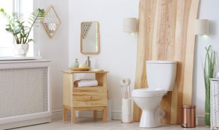 厕所在正东风水很好 一个家旺不旺看厨房