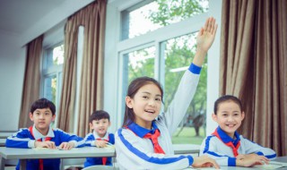 枝的组词（枝的组词组）