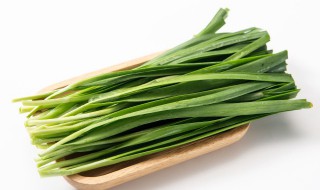 黄韭菜种植方法（南宫黄韭菜种植方法）