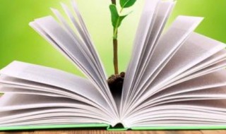 雅怎么组词 压怎么组词