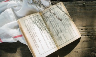 巳组词（巳怎么读）