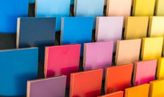 棕色怎么读 棕色怎么读英语